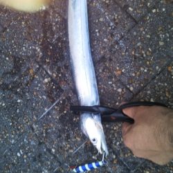 少しずつサイズアップ！