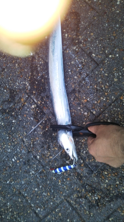 少しずつサイズアップ！