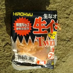 グレ釣りでまさかの尺越え(笑)