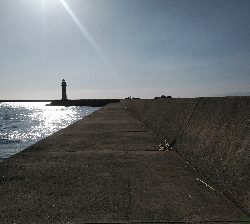 渋いねぇ、まったくおたく渋いぜ