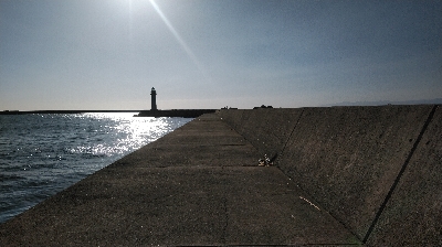 渋いねぇ、まったくおたく渋いぜ