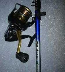 探り釣りでアコウ