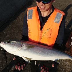 青物回遊のピーク??