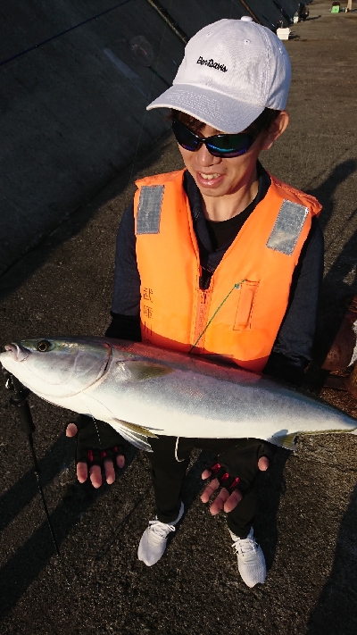 青物回遊のピーク？？