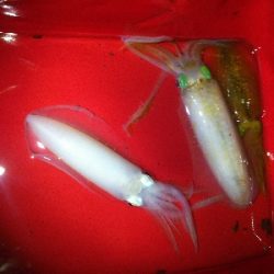 今秋五回目の釣行にて、初ゲットです。