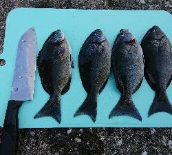 加領郷漁港にて