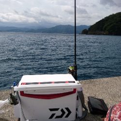 メジャーポイントは…