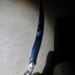 他の日は釣れてるのかな？