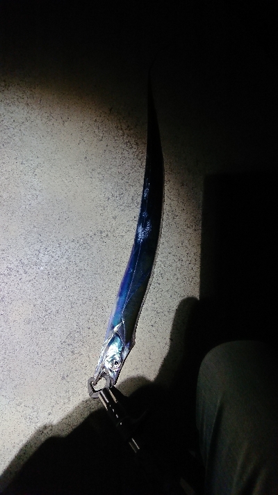 他の日は釣れてるのかな？