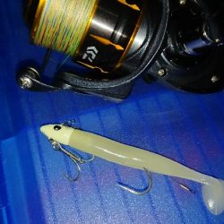 ブルーは諦めて