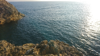 大物釣れました