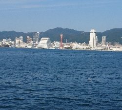 青物釣れません