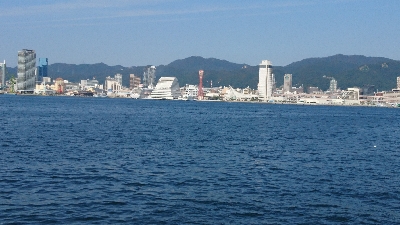 青物釣れません