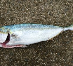 ローライトの下で