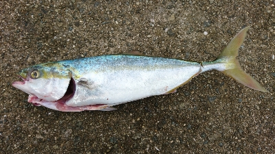 ローライトの下で