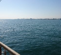 シーズン終盤戦