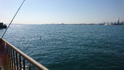 シーズン終盤戦