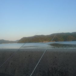 須崎浦ノ内 チョイ投げ釣り