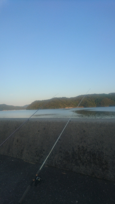 須崎浦ノ内 チョイ投げ釣り