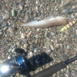 春野周辺サーフ、ライトショアジギング