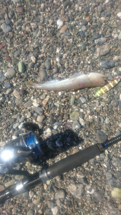 春野周辺サーフ、ライトショアジギング