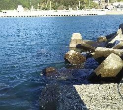 自己記録更新！