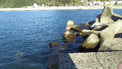 自己記録更新！