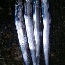 台風前に、、、