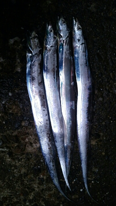 台風前に、、、