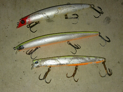 今シーズン初の夜ヒラスズキ