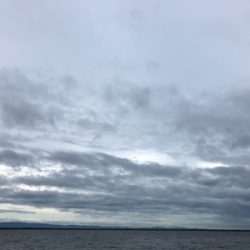 台風前のサバ、アジラッシュ、