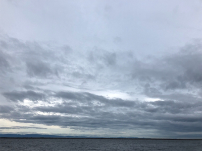 台風前のサバ、アジラッシュ、