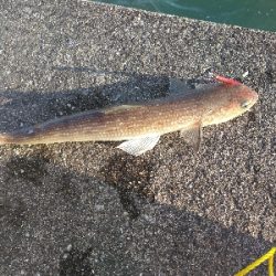 台風24後の須磨