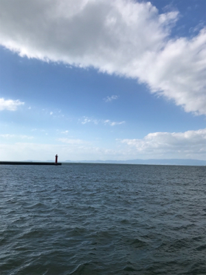 デイ チーバス！