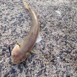 夕方5時半から6時半の1時間