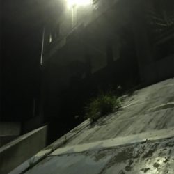 短時間アジングのつもりが