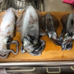 エギング その4