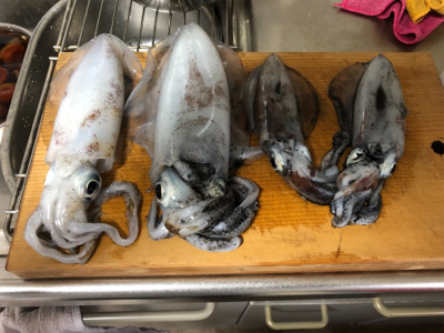 エギング その4