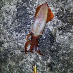 今日は、絶好調^_^