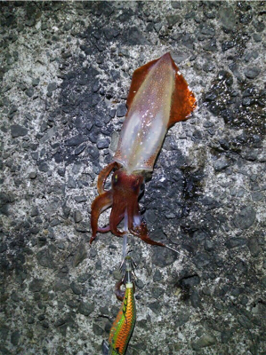 今日は、絶好調^_^