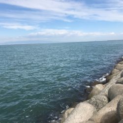 人工島でサビキ