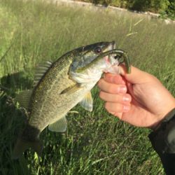 秋が深まってきた