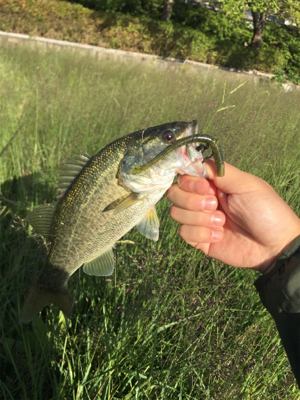 秋が深まってきた