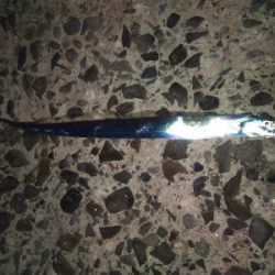 青物狙いで夕暮れまで@須磨海岸