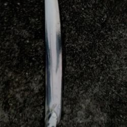 仕事終わりワインド