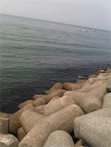 台風明けイカ&青物調査