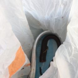 タチウオまぁまぁ