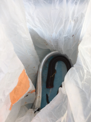 タチウオまぁまぁ