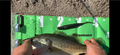 南湖西岸東岸ラン&ガン