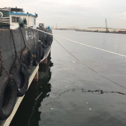 久しぶりの砂揚げ場